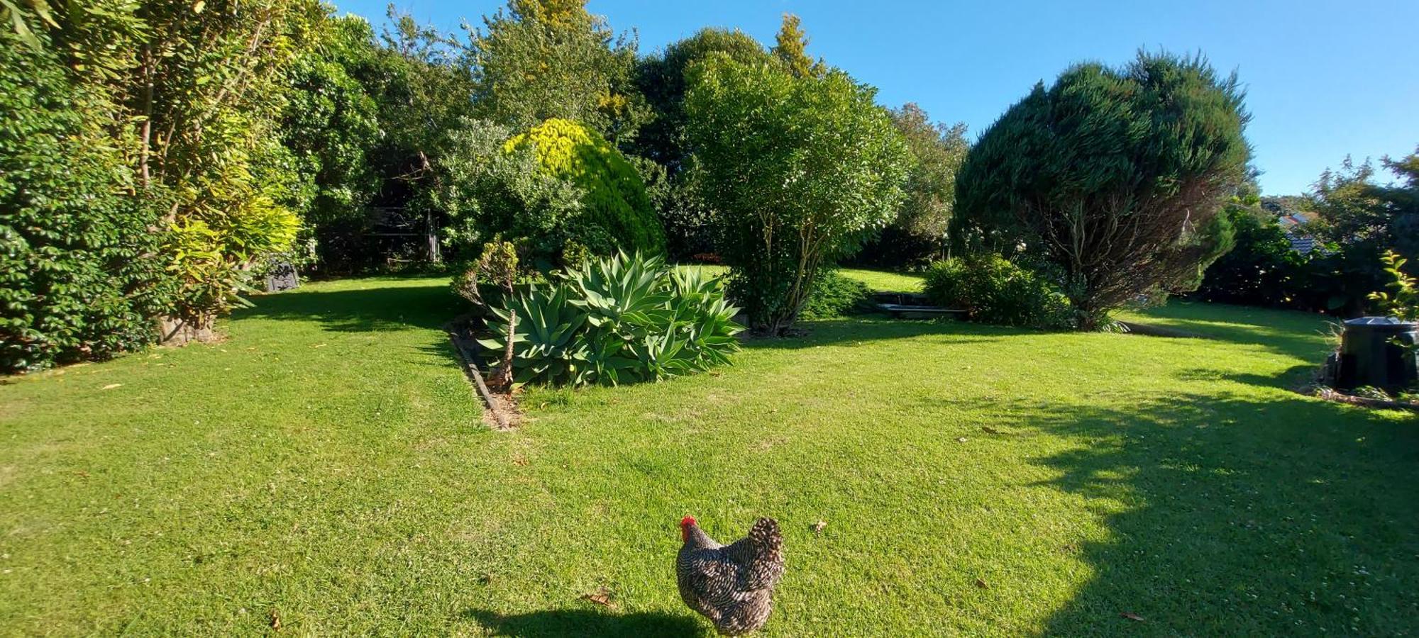 White Cabin Tauranga Exterior photo